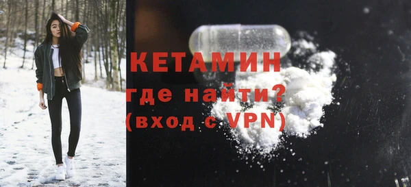 индика Инсар