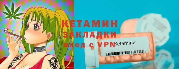 индика Инсар