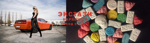 индика Инсар