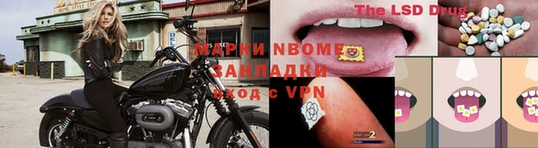 индика Инсар