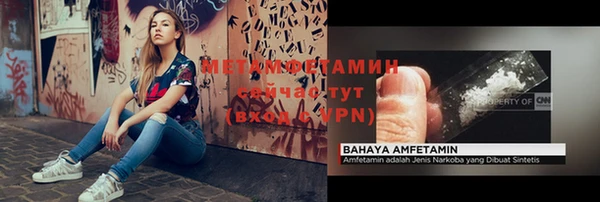 индика Инсар