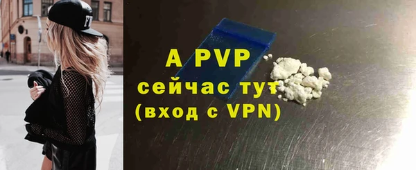 индика Инсар