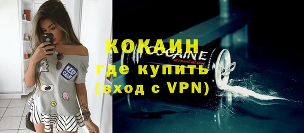 индика Инсар