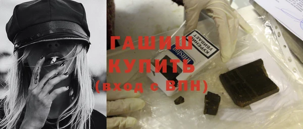 индика Инсар