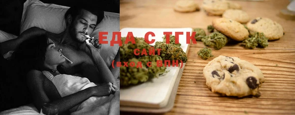 индика Инсар