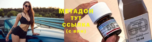 индика Инсар