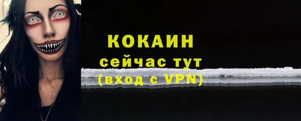 спиды Инта