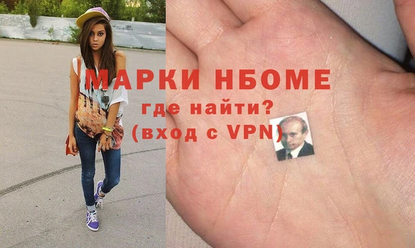 индика Инсар