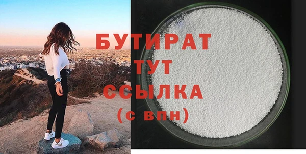 индика Инсар