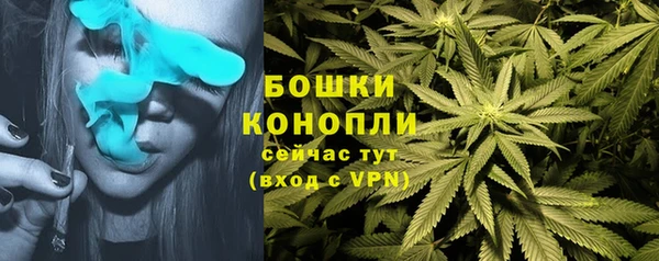 спиды Инта