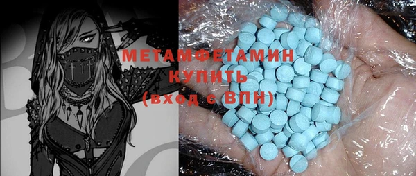 индика Инсар
