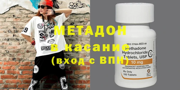 индика Инсар