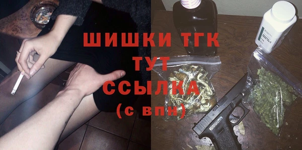 индика Инсар