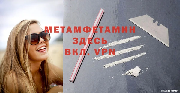 индика Инсар