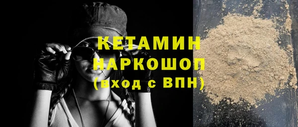индика Инсар