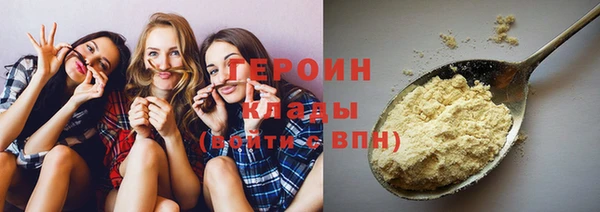 индика Инсар